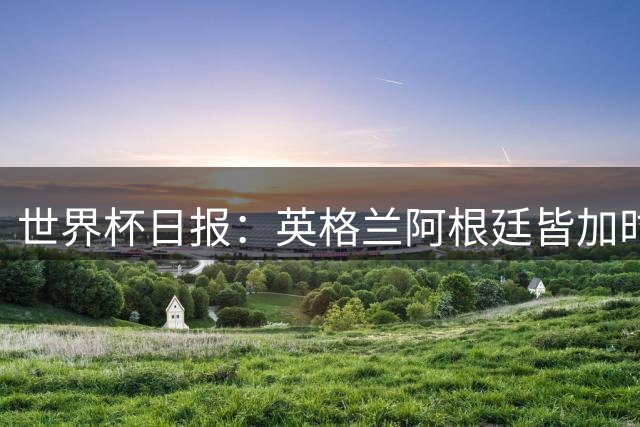 世界杯日报：英格兰阿根廷皆加时过关 南非国脚自杀离世