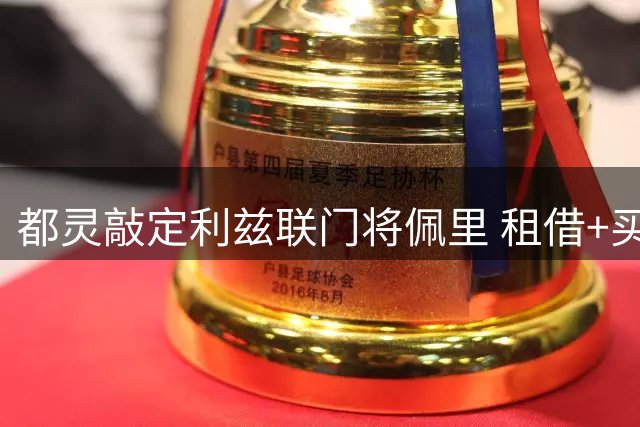 都灵敲定利兹联门将佩里 租借+买断总价1500万欧
